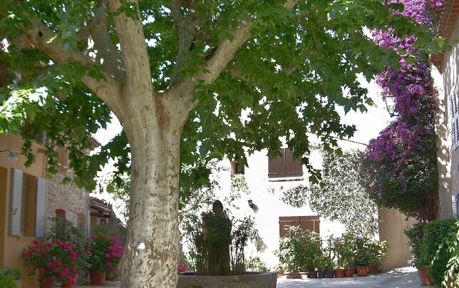 Grimaud