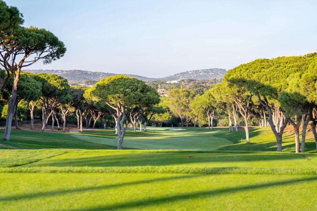 Jhogg Old Course Ar508290 Min