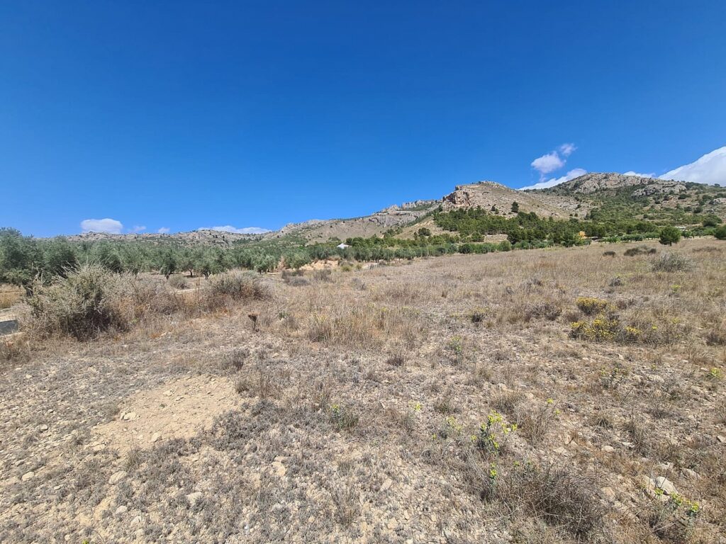 Land for sale in Sax