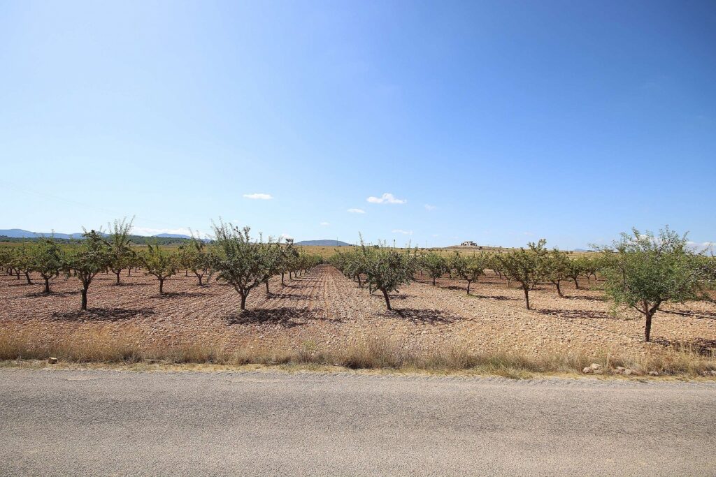 Land for sale in Pinoso