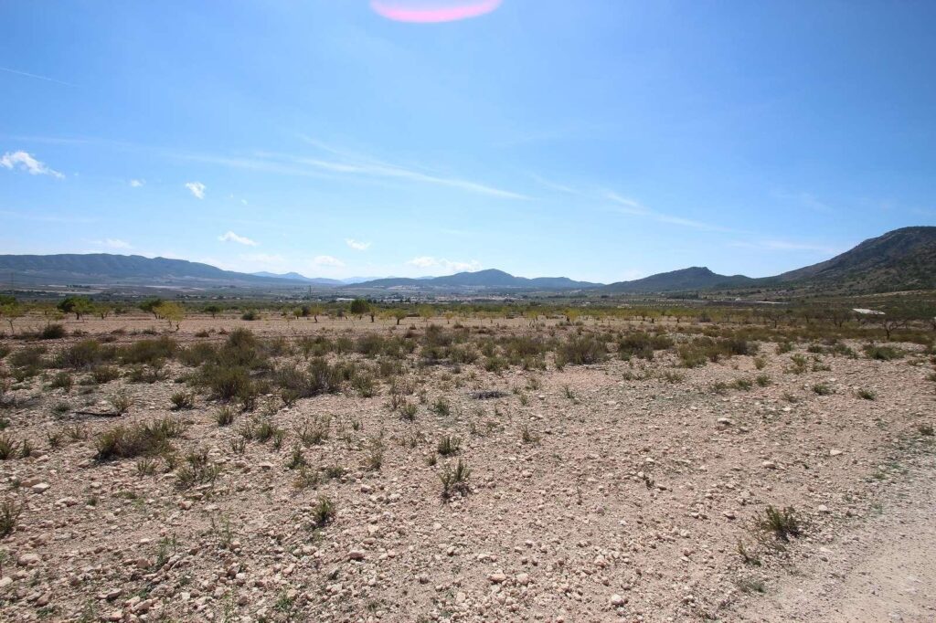 Land for sale in Torre Del Rico