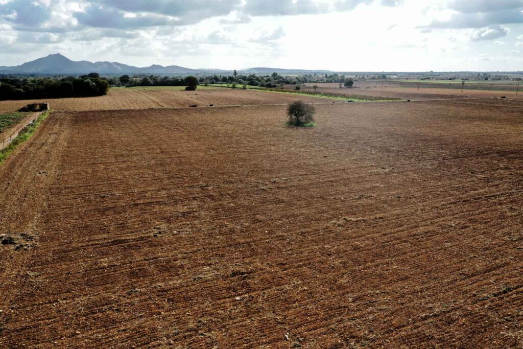 land for sale in Manacor