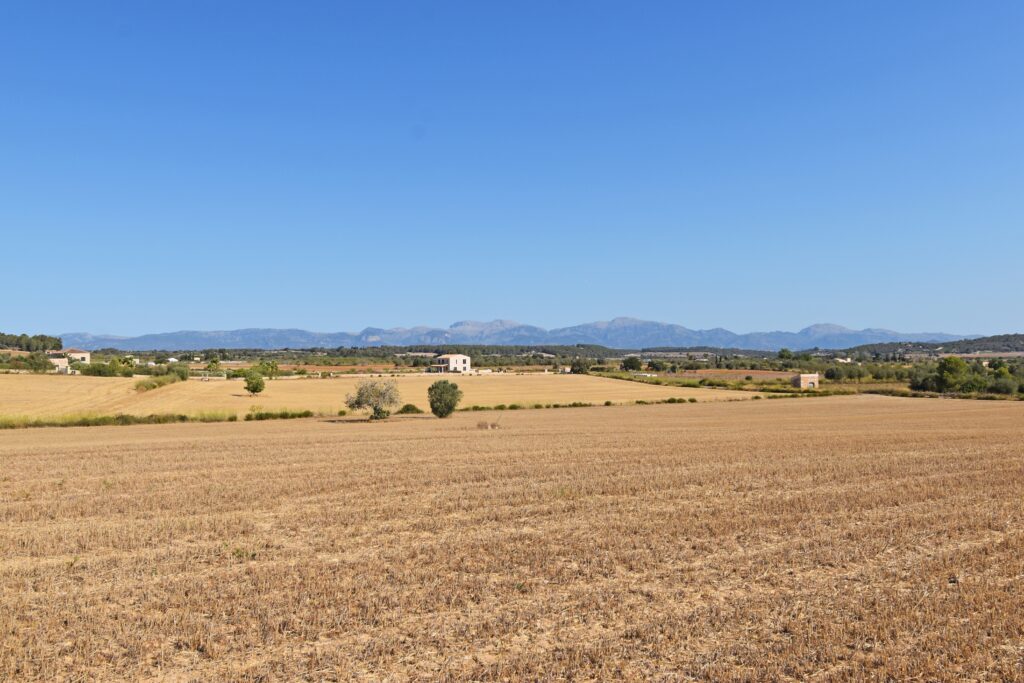 land for sale in Algaida