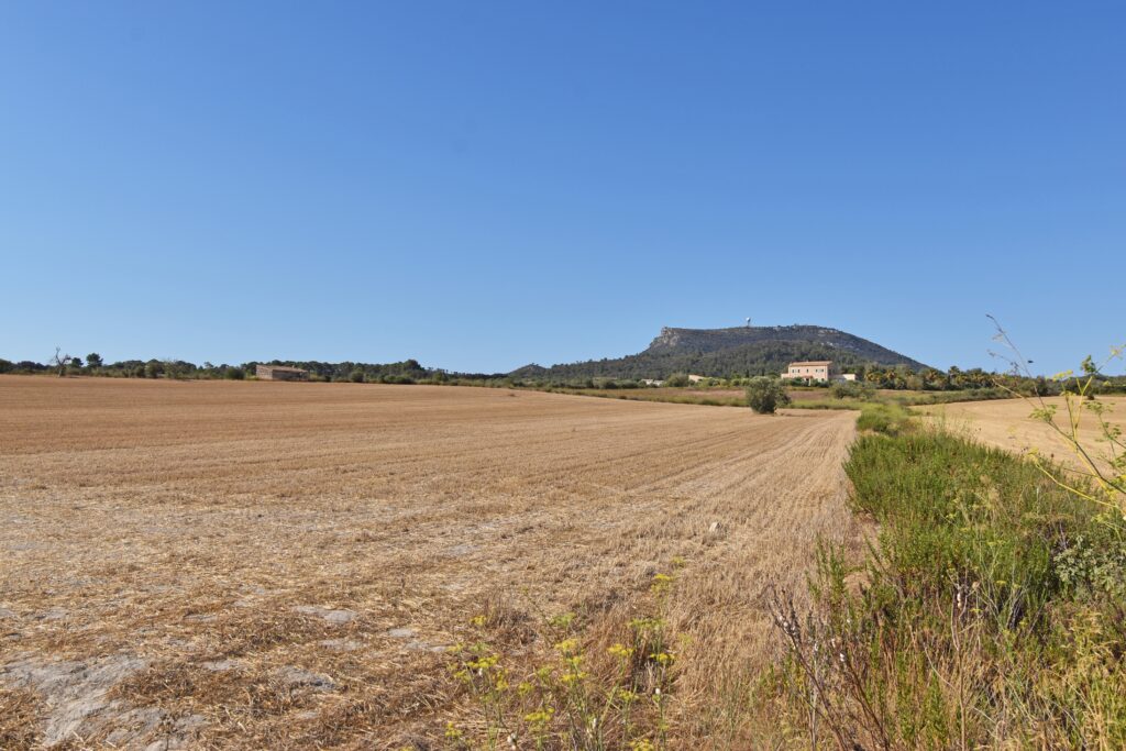  Mallorca