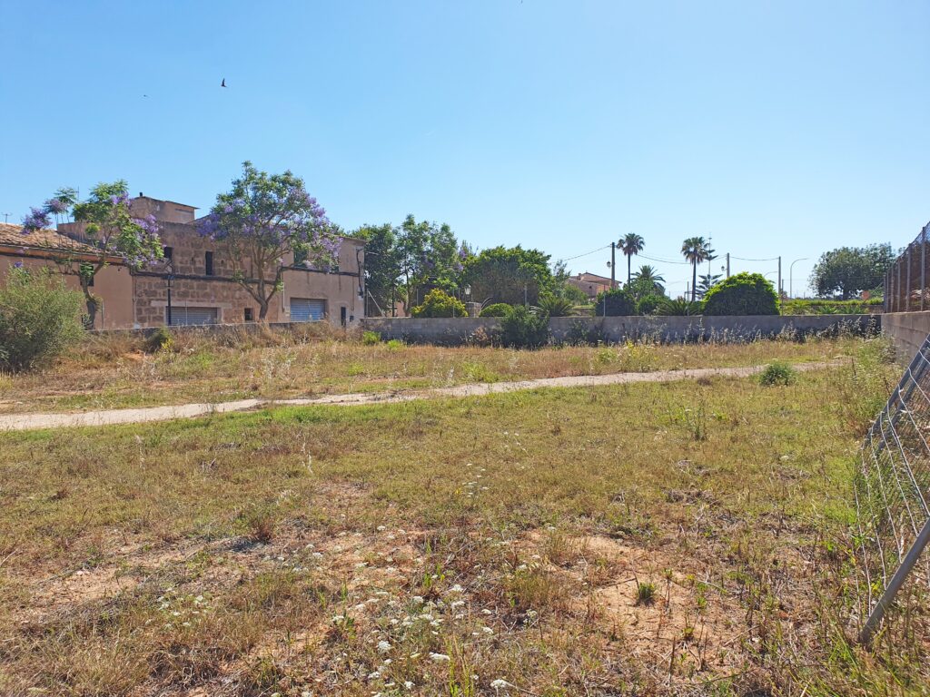 land for sale in Algaida